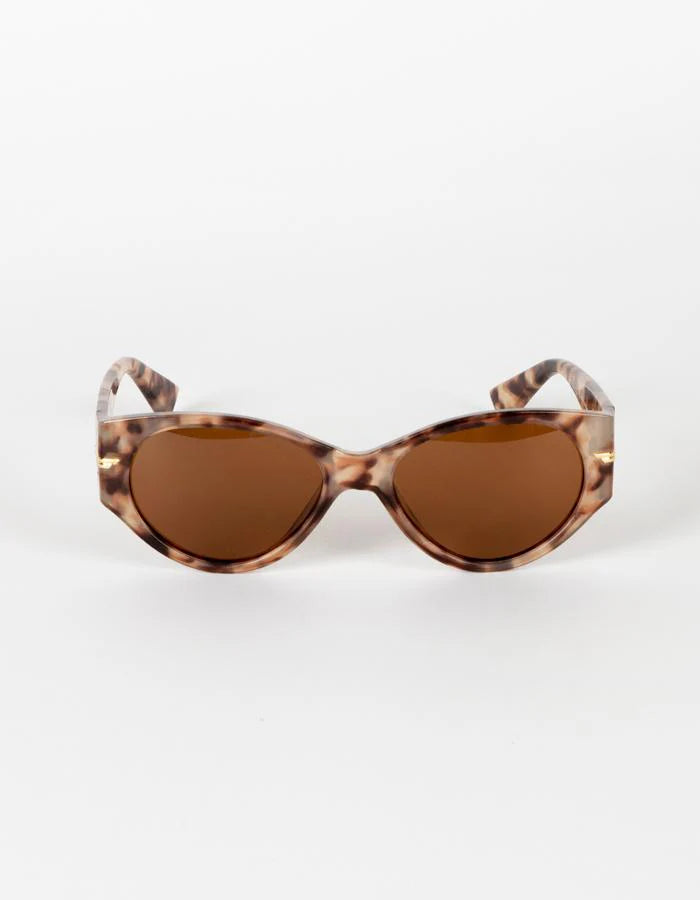 SUNGLASSES - Calypso Light Tort