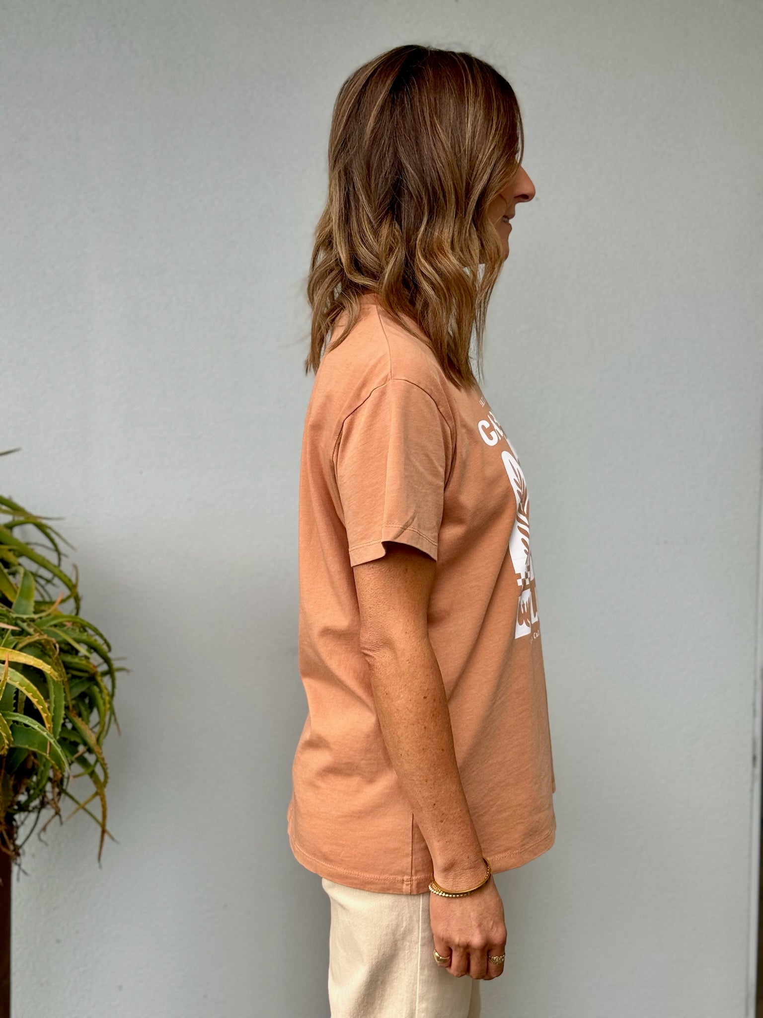 Baja Standard Tee - Tan