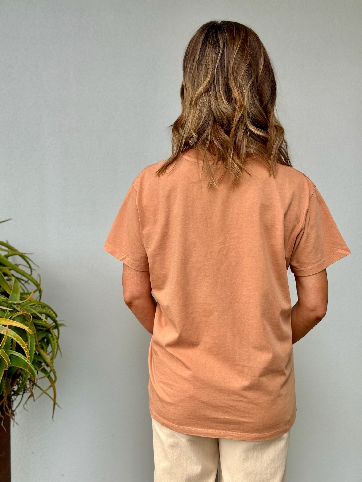 Baja Standard Tee - Tan