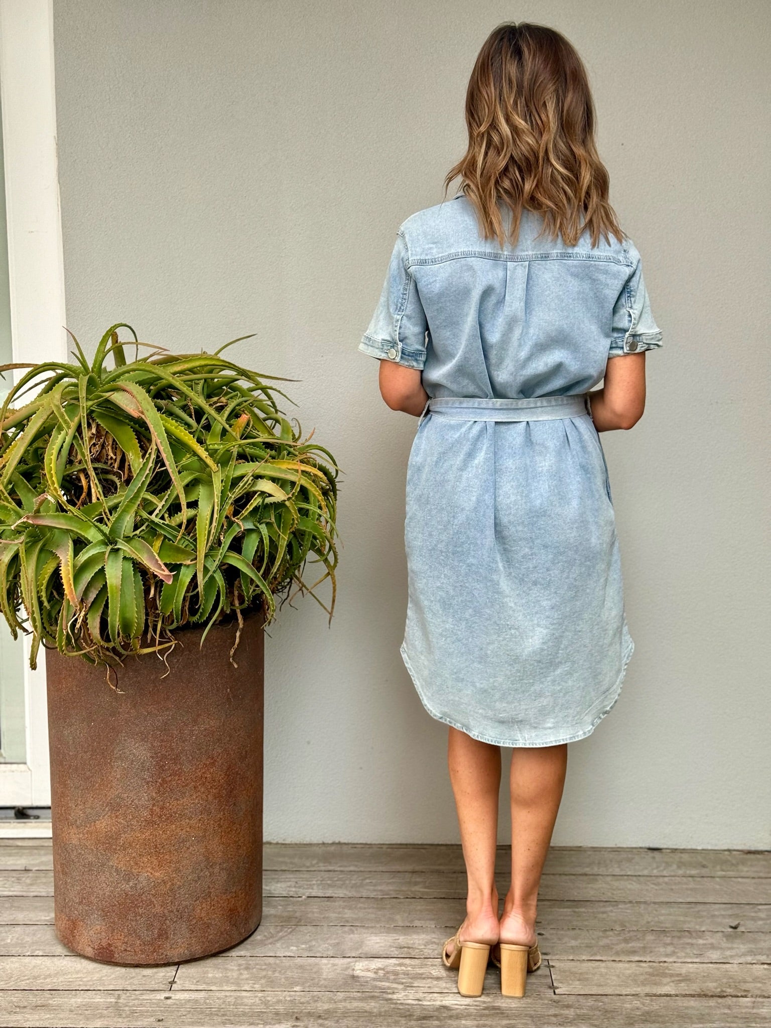 Sadie Denim Dress