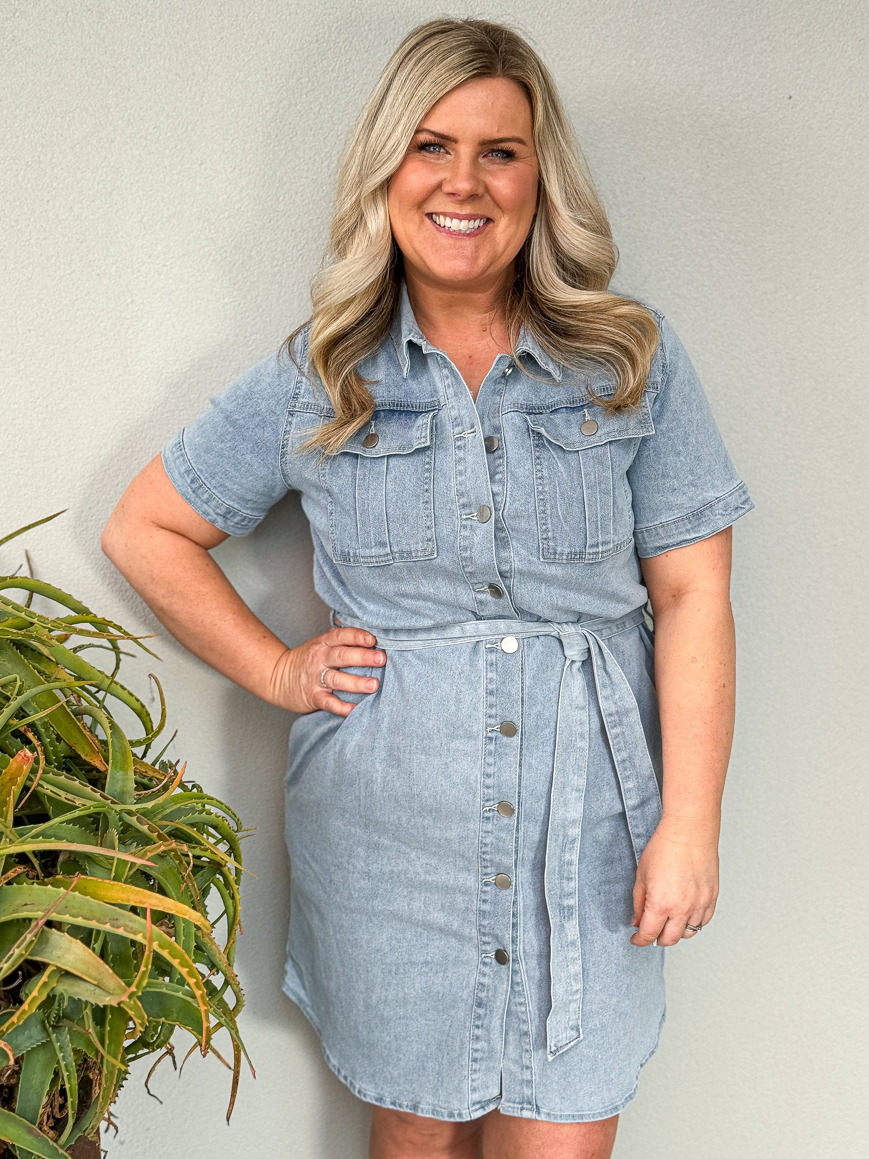 Sadie Denim Dress